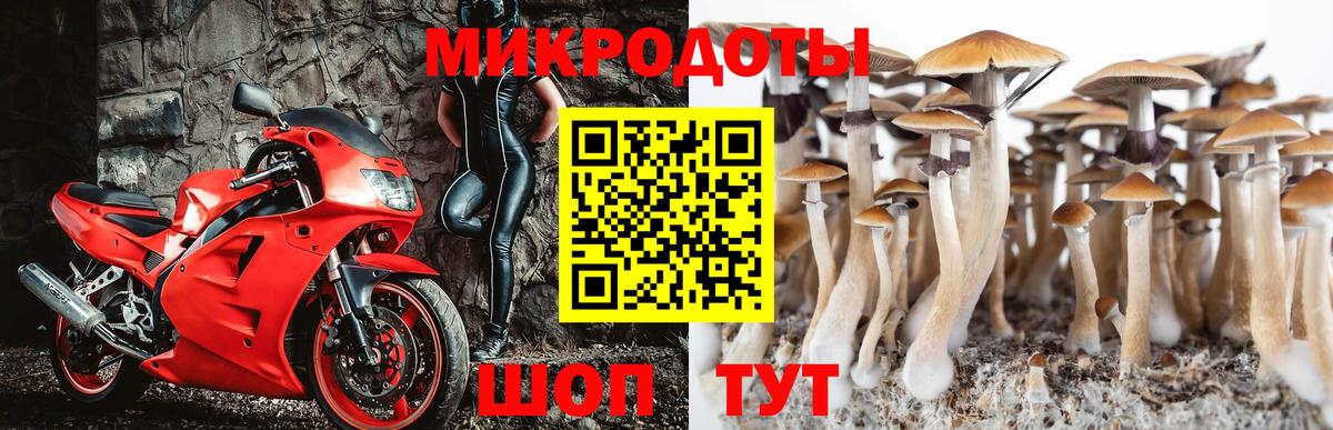 Вязьма  Псилоцибиновые грибы Magic Shrooms  купить наркотики сайты  Вход с VPN 